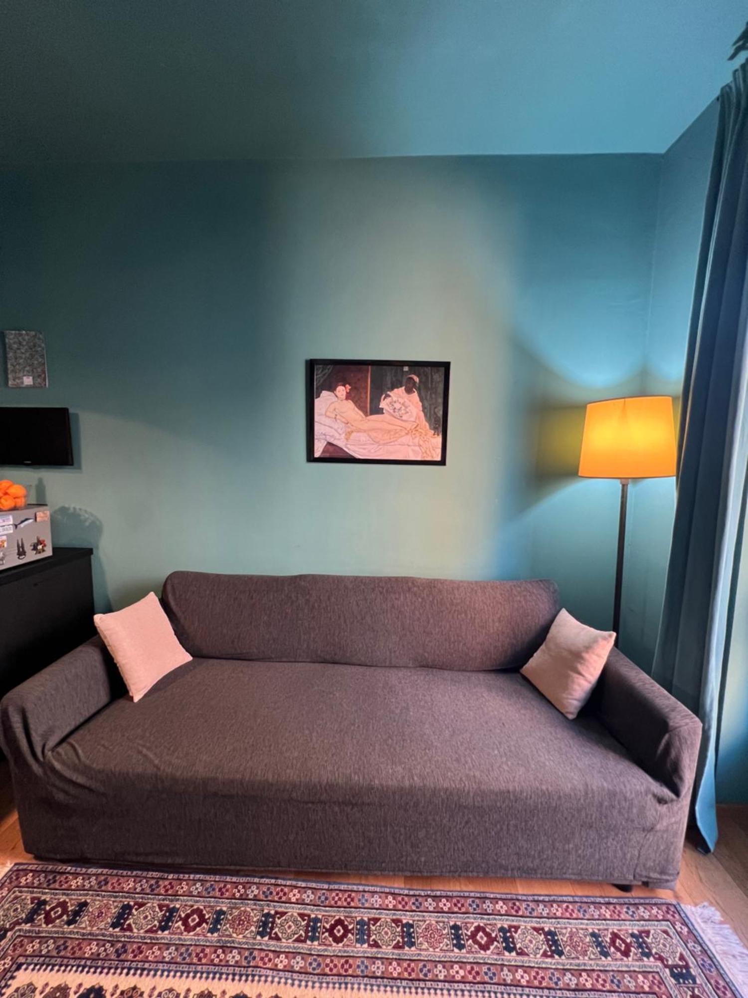 Room With Private Balcony On The Dora River トリノ エクステリア 写真