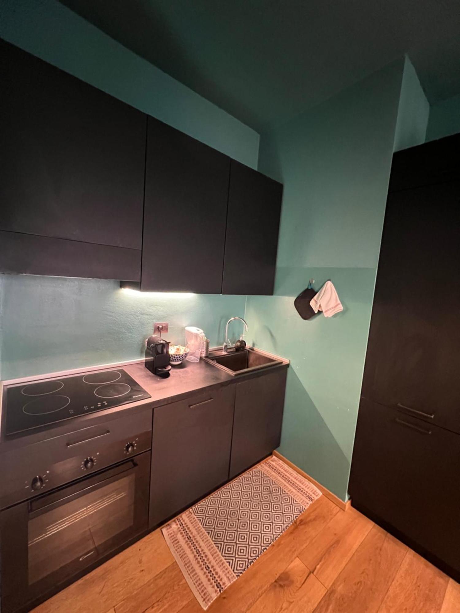 Room With Private Balcony On The Dora River トリノ エクステリア 写真